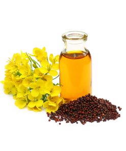 Canola Oil