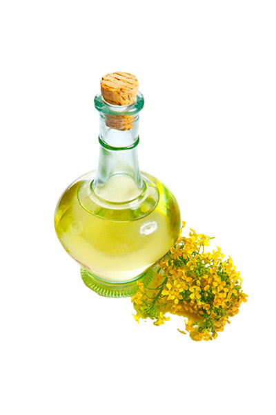 Rapeseed Oil Online